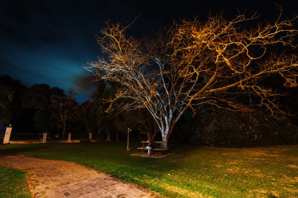 Galería Estancia San Pablo 11